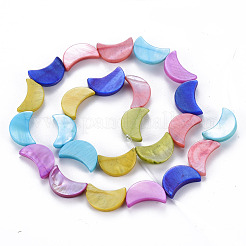 Нити бусин из натуральных пресноводных ракушек SHEL-N026-165