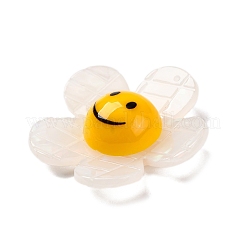 Акриловые подвески&nbsp;OACR-Q055-03A