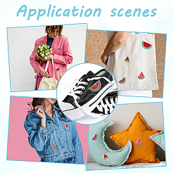 20 шт. 4 стиля арбуз нейлон компьютерная вышивка ткань термоприклеиваемые/пришивные нашивки&nbsp;DIY-HY0002-87