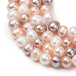 Fili di perle di perle d'acqua dolce coltivate naturali&nbsp;PA-CBABE82-14