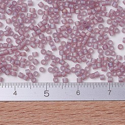 Miyuki Delica Perlen&nbsp;X-SEED-J020-DB0857