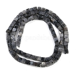 Натуральные нити бус из ларвикита G-B129-A22-01