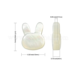 5шт натуральные белые бусины из ракушек BSHE-CJ0001-06