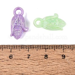 Colgantes de plástico opaco&nbsp;KY-Q010-02