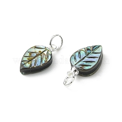Pendentifs sculptés en nacre naturelle (paua/ormeau)&nbsp;PALLOY-JF05615-02