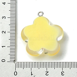 Подвески из полупрозрачной смолы RESI-P039-01P