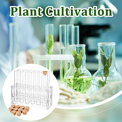 1 комплект акриловых многоцелевых колориметрических цилиндрических стоек для пробирок&nbsp;AJEW-OC0004-31