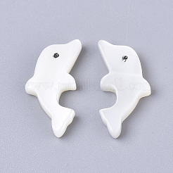 Natürliche Trochidschale / Trochusschalenperlen&nbsp;LS-SSHEL-N034-61