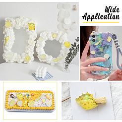 48 шт. 3 стиля прозрачных кабошонов из эпоксидной смолы CRES-PH0003-38