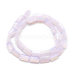 Chapelets de perles d'opalite&nbsp;G-L557-15E