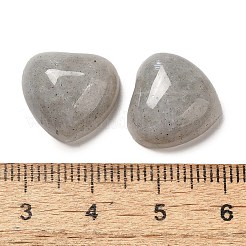 Natur Labradorit Cabochons&nbsp;G-F776-02A-21