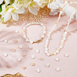 2 нить бусин из натуральных пресноводных ракушек&nbsp;SHEL-SC0001-85C