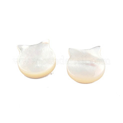 Натуральные белые бусины из ракушек SSHEL-N003-142