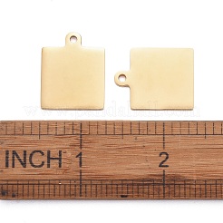 Pendentifs en acier inoxydable 304&nbsp;LS-STAS-I140-23B-G