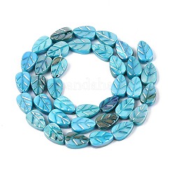 Нити резных бусин из натуральных пресноводных ракушек&nbsp;SHEL-N038-25B