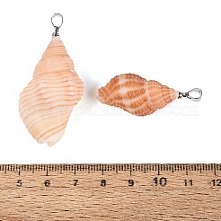 Pendientes de concha de caracol naturales&nbsp;SHEL-Q029-31P