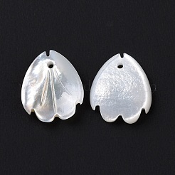 Натуральные белые раковины SSHEL-C011-07B