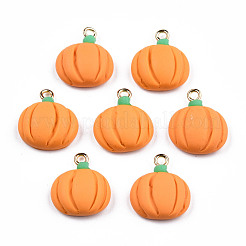 Полимерной глины ручной работы подвески CLAY-N010-068