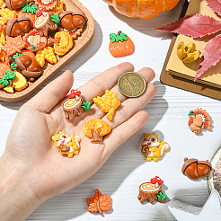 48 шт. 8 стиля осенняя тематика смоляные кабошоны&nbsp;RESI-SC0036-38