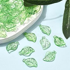 Прозрачные акриловые подвески&nbsp;DBLA156-8