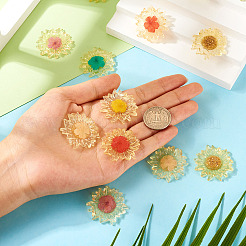 14шт 7 цвета подвески из полупрозрачной смолы&nbsp;RESI-TA0003-40