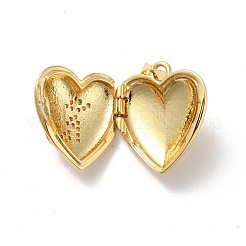 Подвески в виде медальонов из латуни с микропаве из прозрачного кубического циркония KK-M227-07G