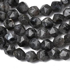 Натуральные нити бус из ларвикита G-Z119-A32-01