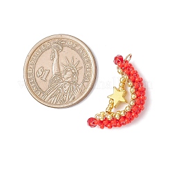 Стеклянные подвески из бисера&nbsp;PALLOY-MZ00897-05