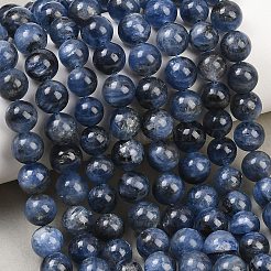 Натуральные нити из кианита / цианита / дистенового бисера&nbsp;G-G272-A01-8mm