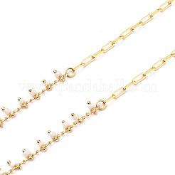 Цепочки для очков&nbsp;AJEW-EH00294-02