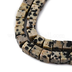 Природные яшмы далматин бисер нитей G-F631-K30