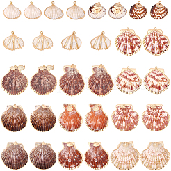 32 Stück 8 Stile galvanisierte natürliche gemischte Muschelanhänger&nbsp;SSHEL-SC0001-62B