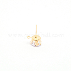 Железные серьги&nbsp;IFIN-WH0050-07G-01