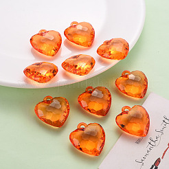 Прозрачные акриловые подвески&nbsp;TACR-T024-03B-921