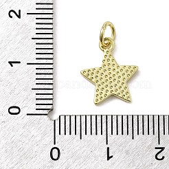 Латунь эмаль подвески&nbsp;KK-P338-13G-03