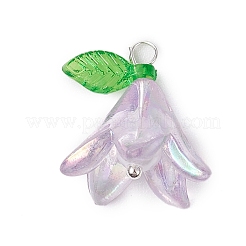 20шт акриловые подвески PALLOY-JF03110-02