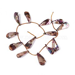 Нити бусин из натуральных пресноводных ракушек SHEL-T020-55F