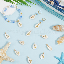 24 шт. 6 стиля подвески из натуральной ракушки каури PALLOY-SC0004-43