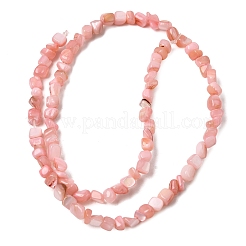 Нити бусин из натуральных пресноводных ракушек&nbsp;SHEL-A006-07