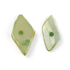 Бусины из ракушек BSHE-I008-13