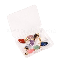 10 шт. 10 стиля подвески из натуральных драгоценных камней&nbsp;G-LS0002-14