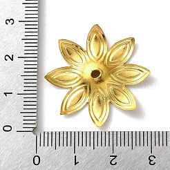 Железный шарик крышки&nbsp;IFIN-C060-04KCG