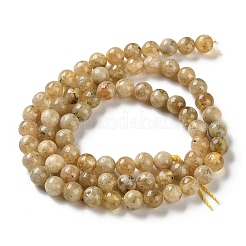 Бусины из натурального желтого граната&nbsp;G-Z129-C01-6mm-01