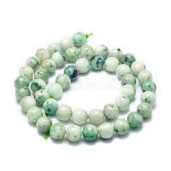 Perline Chrysocolla naturale fili&nbsp;G-E576-04B