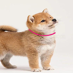 1 комплект полиэстеровых идентификационных ошейников для щенков&nbsp;AJEW-LP0001-53