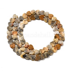 Природные сумасшедший агат бисер нитей G-A272-A01-26