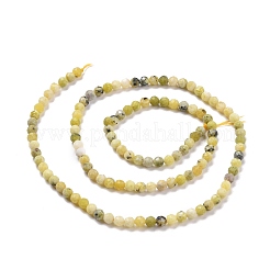 Fili di perle naturali di turchese giallo (diaspro)&nbsp;G-D463-11B