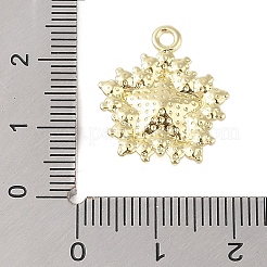 ラインストーンペンダント付きラックメッキ合金  スター  ゴールドカラー  クリアAB  20x17x6mm  穴：2mm&nbsp;FIND-B037-03G-02