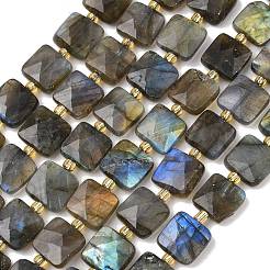 Природных драгоценных камней смешанного бисер нитей G-L642-L01-10mm