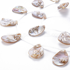 シェルパールのペンダント  トップドリルビーズ  ティアドロップ  貝殻色  34~36x24~26x2~8mm  穴：0.7mm  約10個/連  16.14インチ（41cm）&nbsp;SSHEL-N032-38